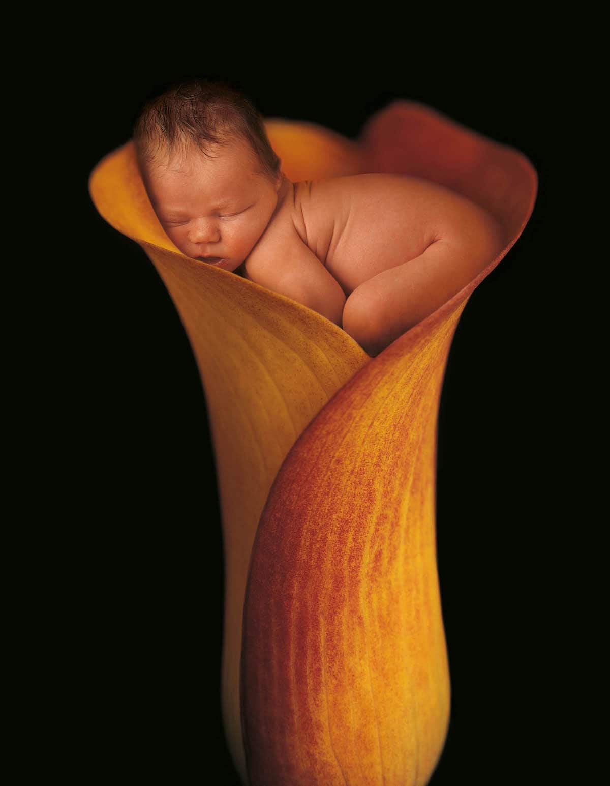 Fotos de bebés recién nacidos por Anne Geddes