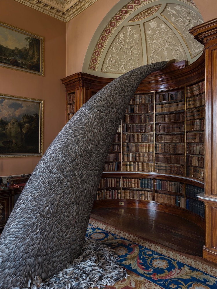 Pigeon Feather Art Installation by Kate MccGwire