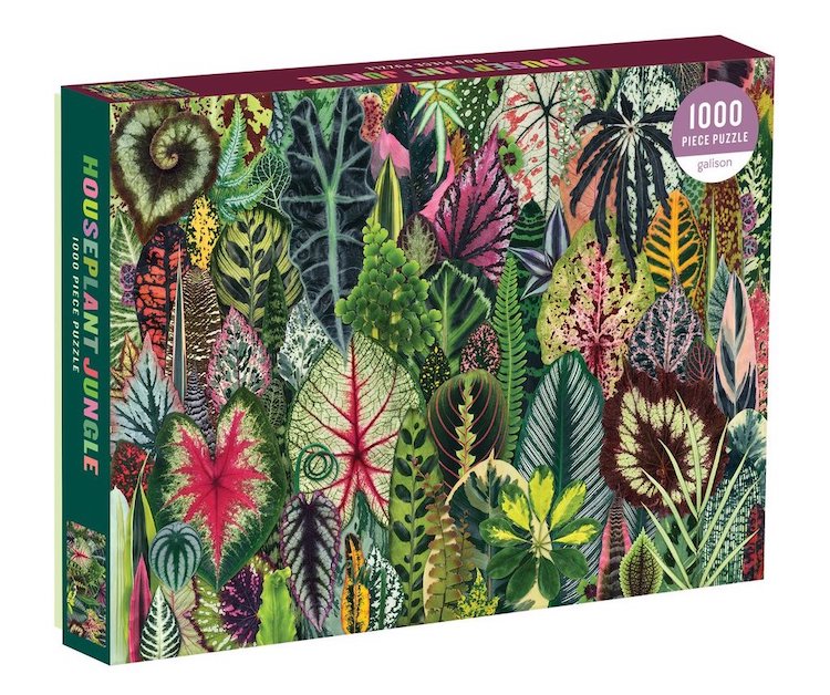 Puzzle 1000 pièces Houseplant Jungle