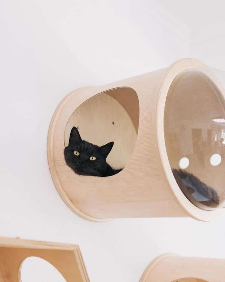 Muebles para gatos modernos de PetsHelperCo