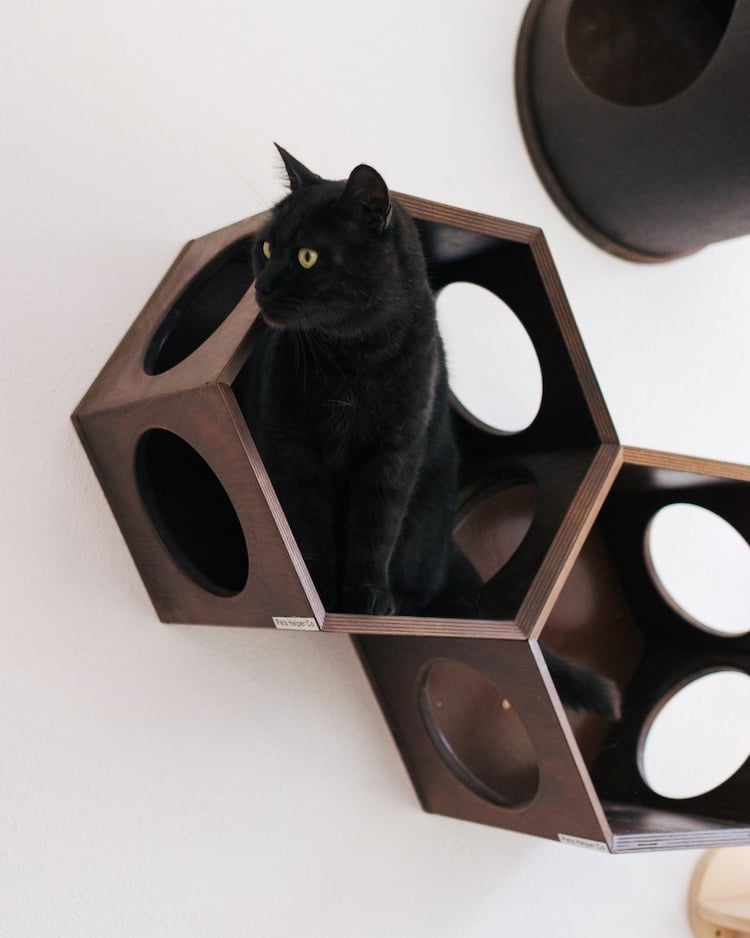 Modern Cat Furniture by PetsHelperCo