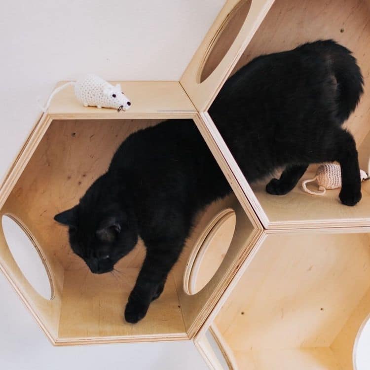 Modern Cat Furniture by PetsHelperCo