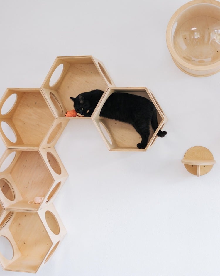 Modern Cat Furniture by PetsHelperCo