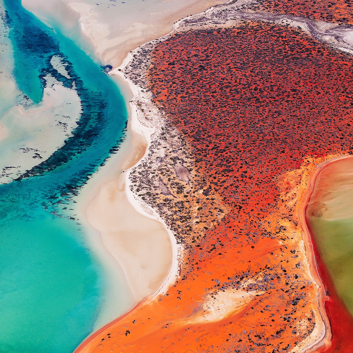 Shark Bay Aerial Photography by Jérôme Berbigier