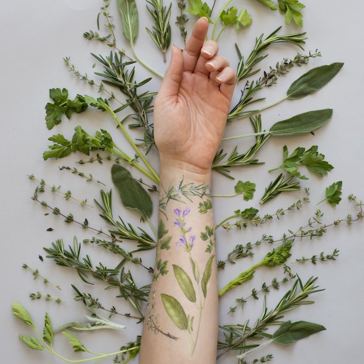 Set de tatuajes temporales de plantas aromáticas