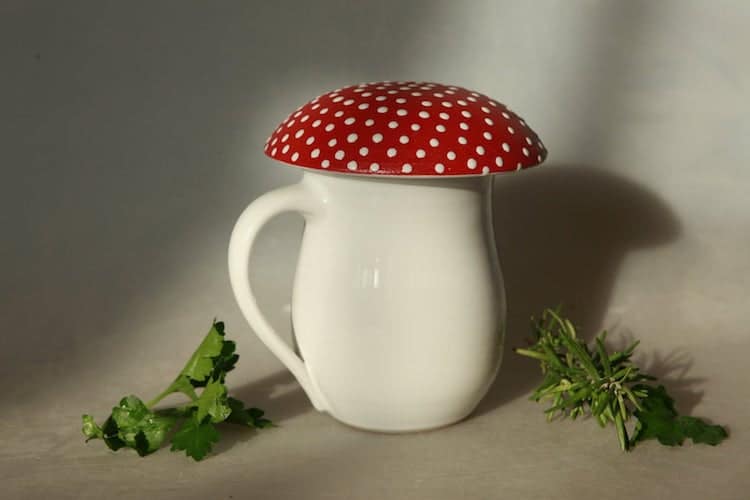 Amanita Mushroom Mug