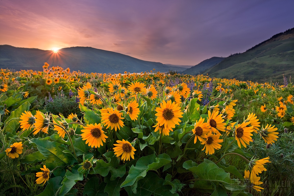 Interview With Pnw Nature Landscape Photographer Adrian Klein