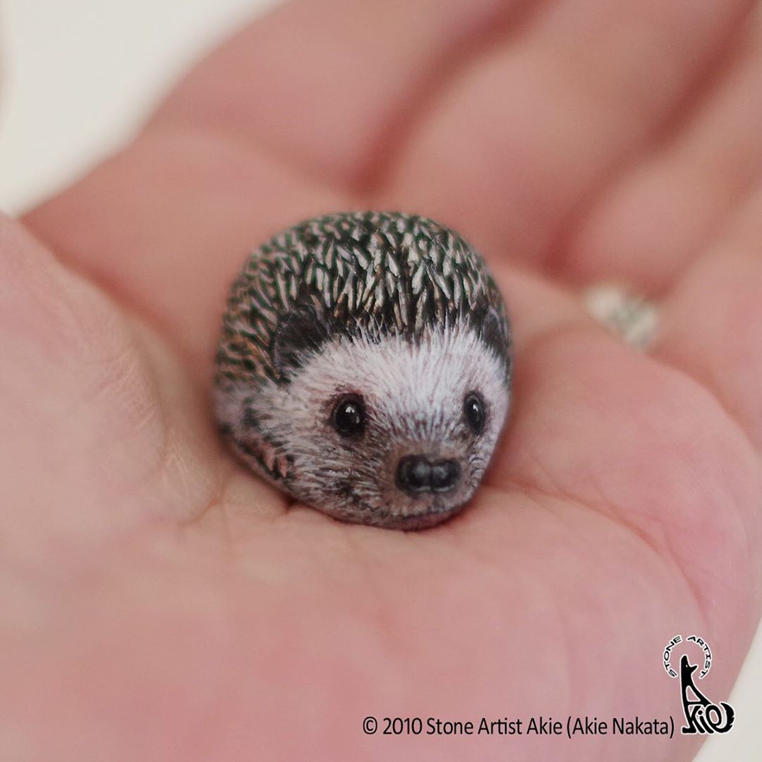 Stone Painted Porcupine