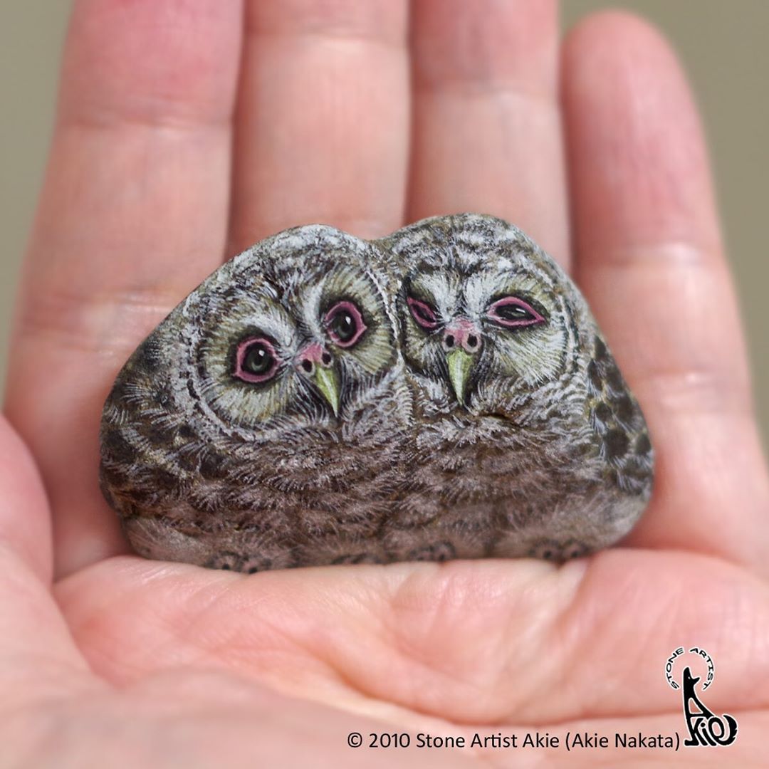 Painted Rock Animal