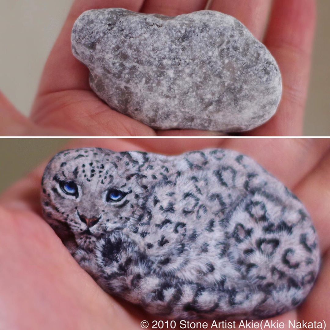 Rock Art by Stone Artist Akie