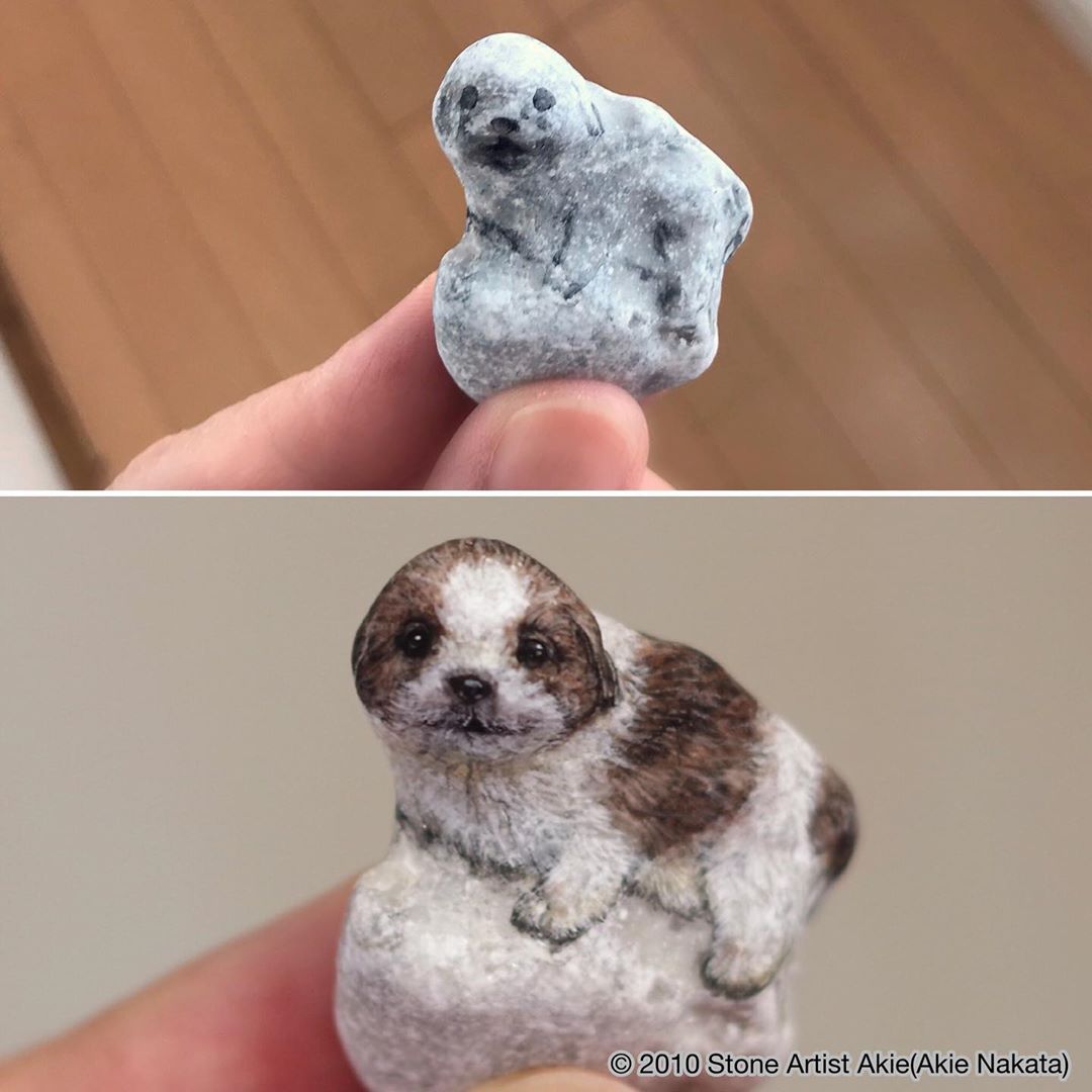 piedras pintadas de animales por Akie