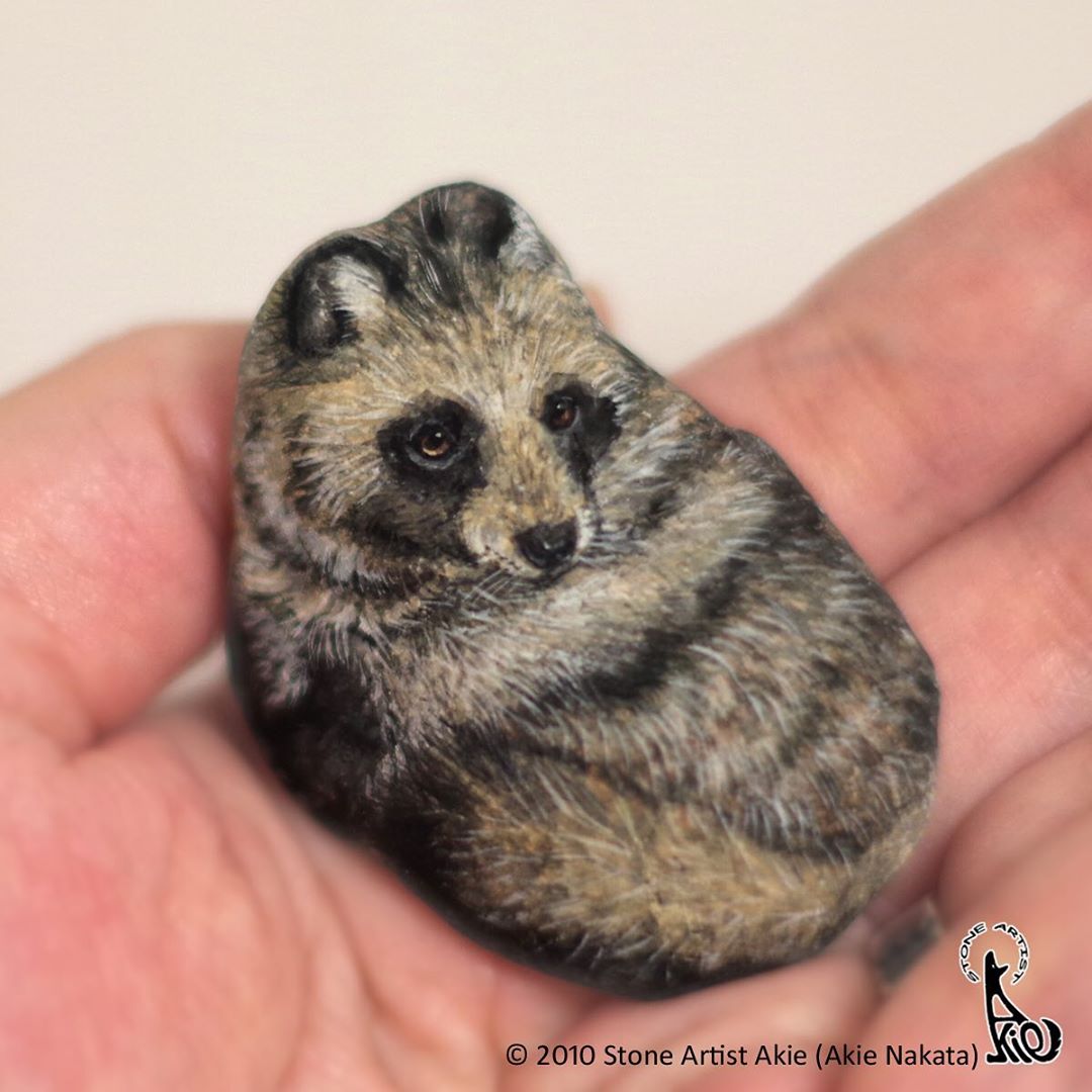 Racoon Painted on a Rock