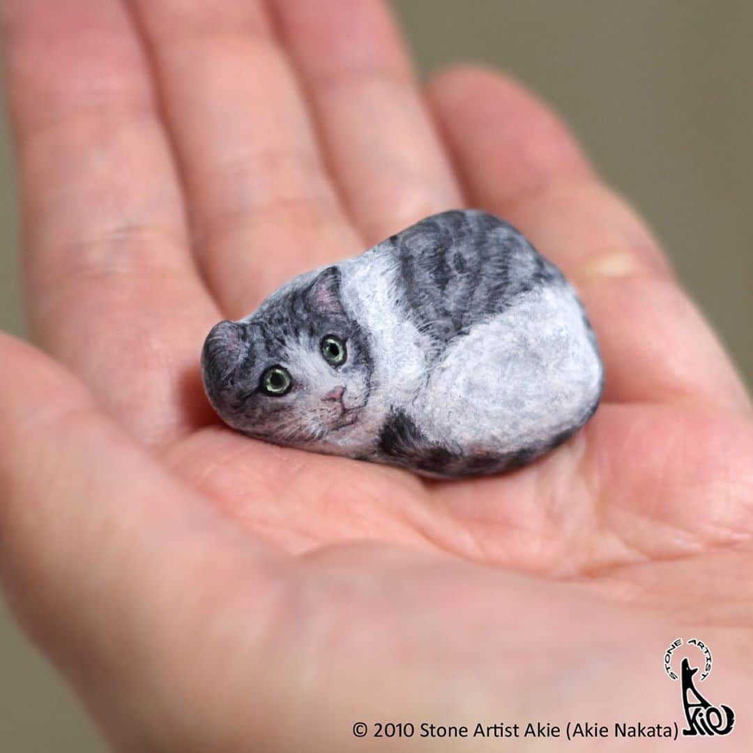 Rock Painted to Look Like a Cat