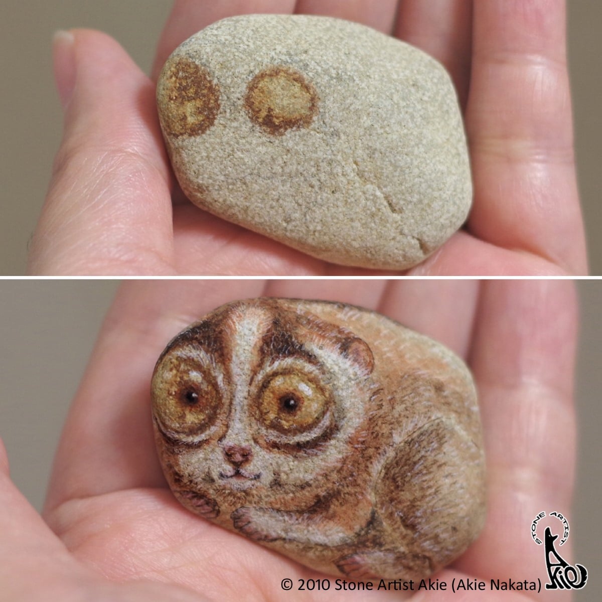 piedras pintadas de animales por Akie
