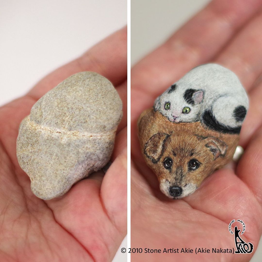 Artista japonesa transforma piedras comunes en animales realistas