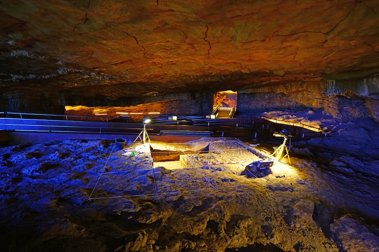 Reproduction of the Altamira Cave