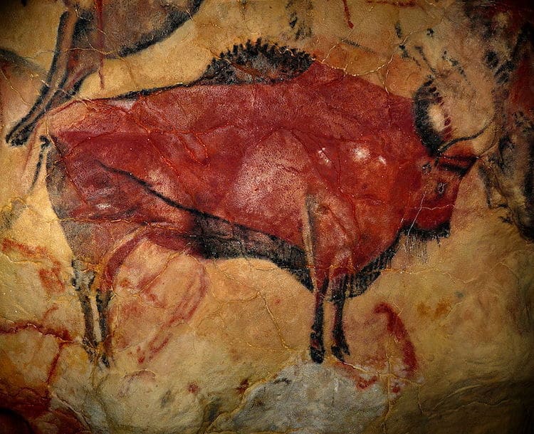 Bison at Altamira