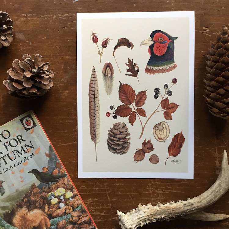 Amy Rose Geden Botanical Prints