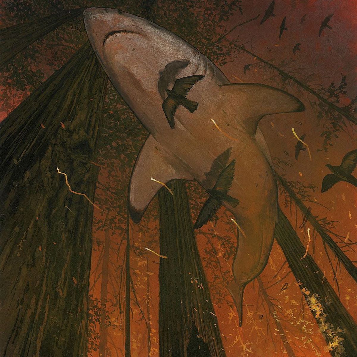 Chris Austin Shark Paintings