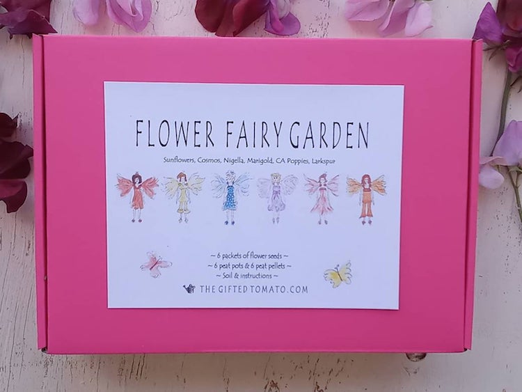 Fairy Garden Kit