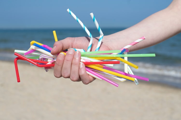 France Ban Single Use Plastic by by 2040