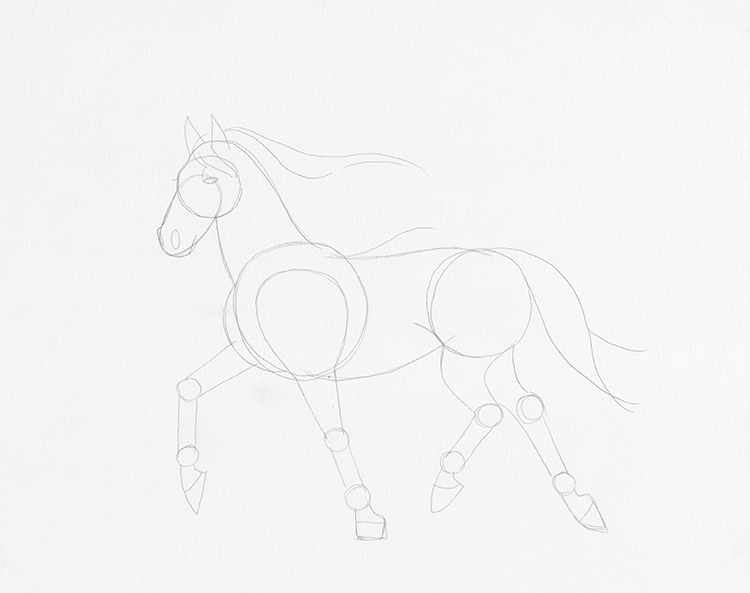 caballo dibujo facil