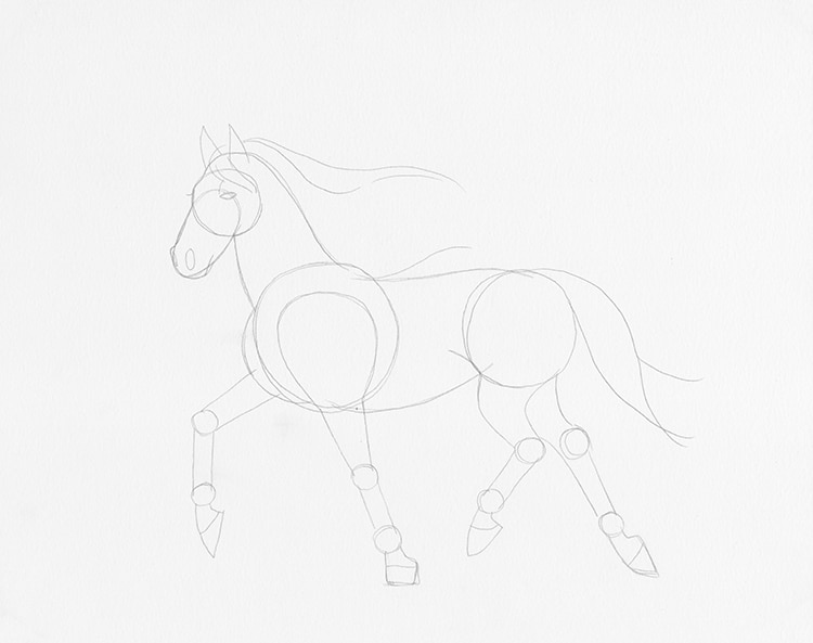 how to draw a simple horse head