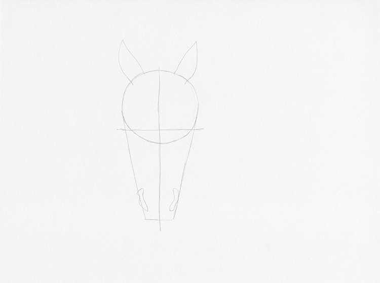 Horse head construction, as part of Drawabox lesson 5 : r/learnart
