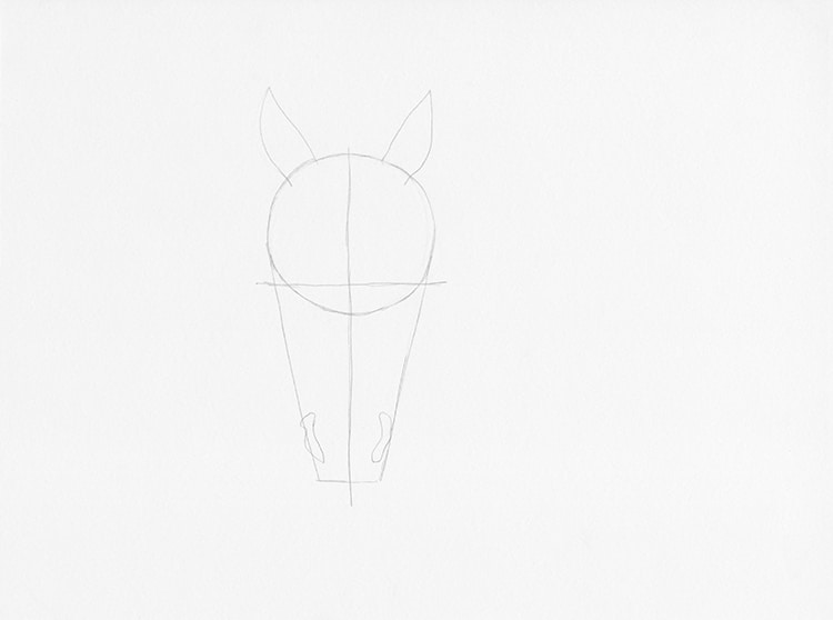 How to Draw a Horse Head Side Hair - Radcliffe-Brown Sponsiguess