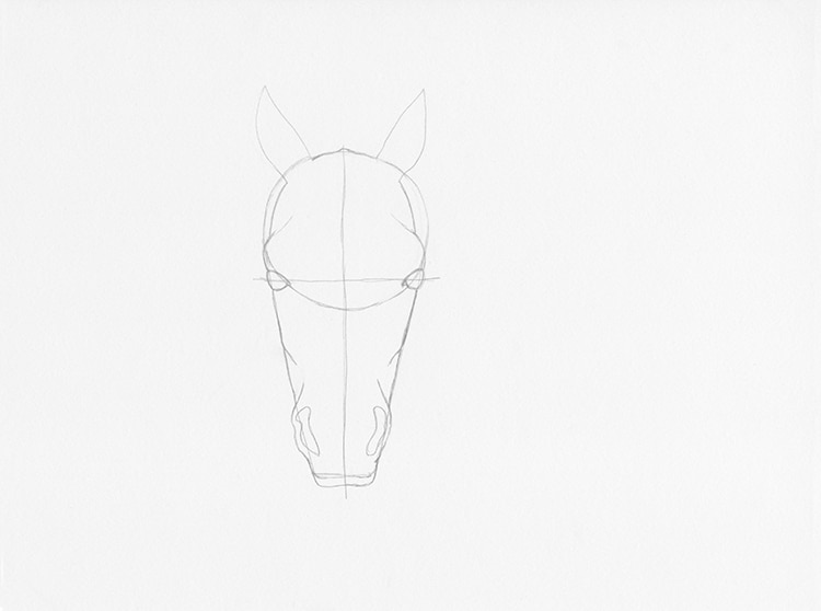 Featured image of post Easy Horse Head Drawing Step By Step - Now, using the same clear lines draw long ears and wavy hair.