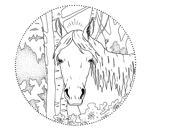 quarter horse head coloring page