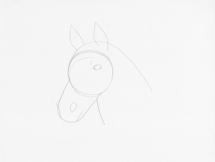 How to Draw a Horse Head in 3/4 View
