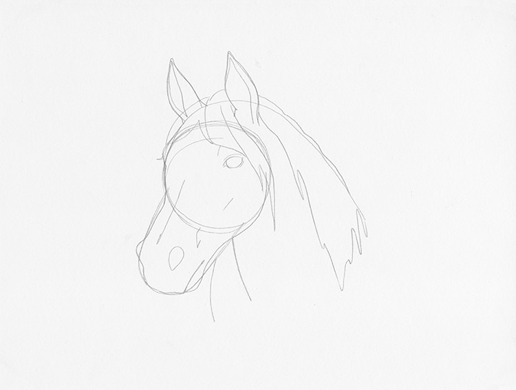 cabeza caballo dibujo