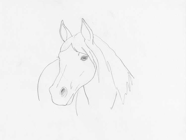 Wrought Studio Freehand Horse Head Pencil Drawing - Wrapped Canvas Graphic  Art Print | Wayfair