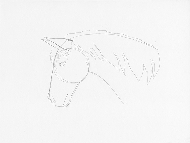 cabeza caballo dibujo