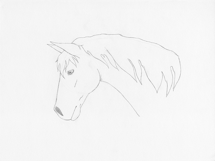 caballo dibujo facil