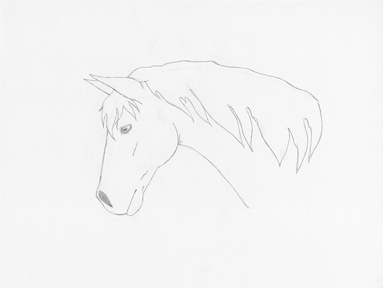 Featured image of post Dibujos De Caballos A Lapiz Faciles