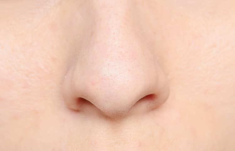 Photo of a Nose