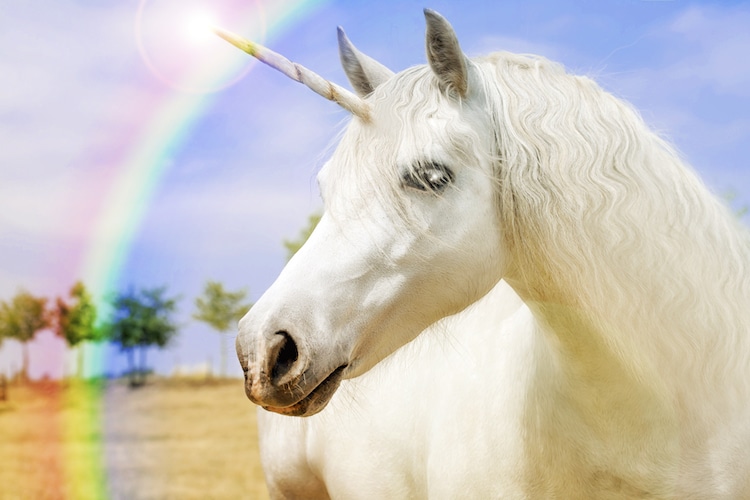 Learn How To Draw A Magical Unicorn In 6 Simple Steps