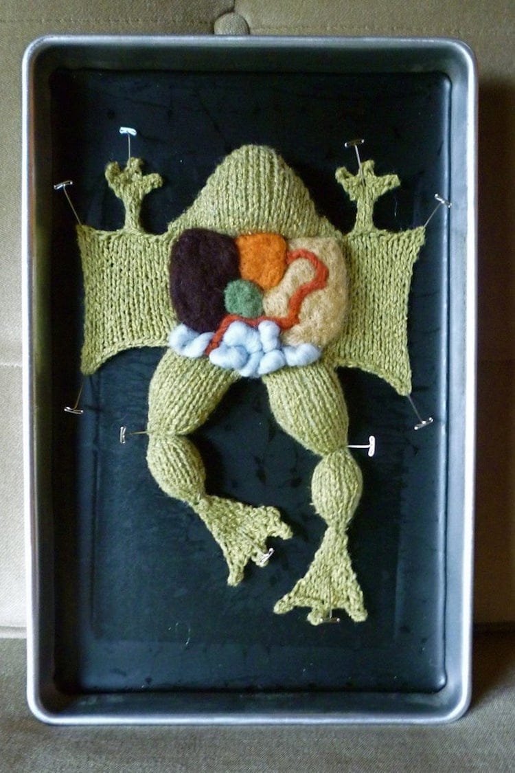 Knitted Animal Anatomy Kits by Emily Stoneking
