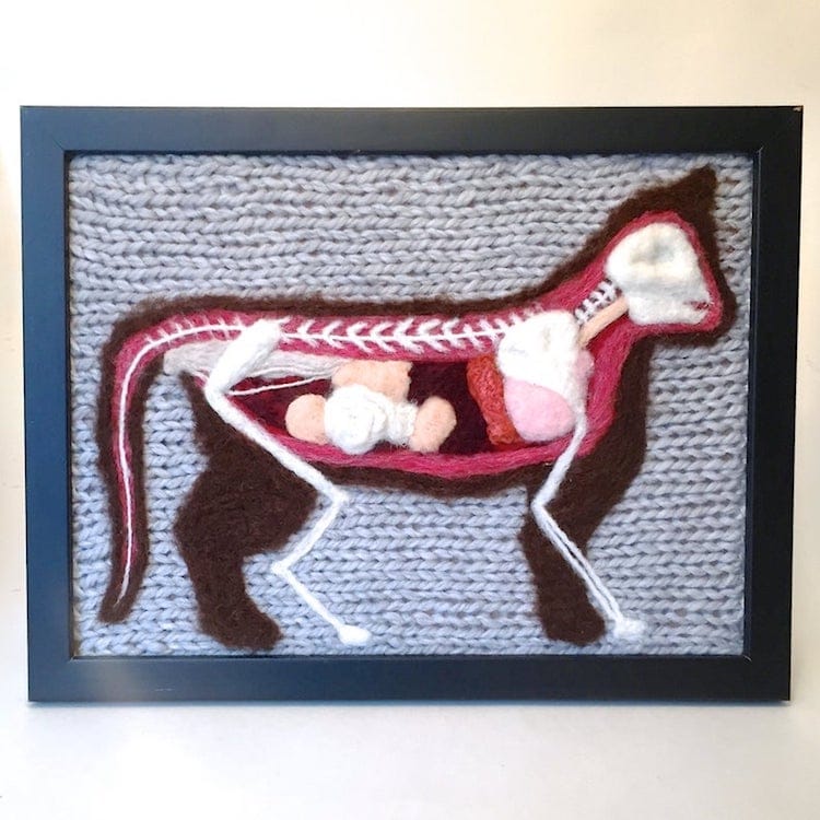 Knitted Animal Anatomy Kits by Emily Stoneking