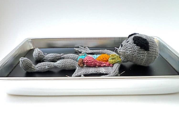 Knitted Animal Anatomy Kits by Emily Stoneking