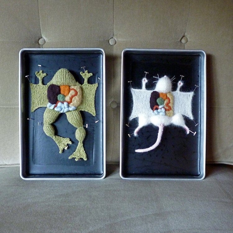 Knitted Animal Anatomy Kits by Emily Stoneking