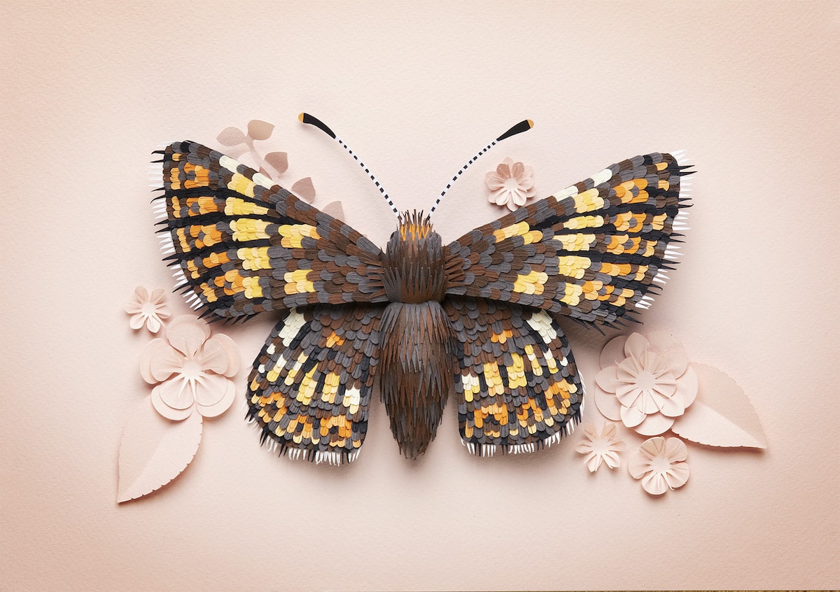 3D Paper Art by Lisa Lloyd