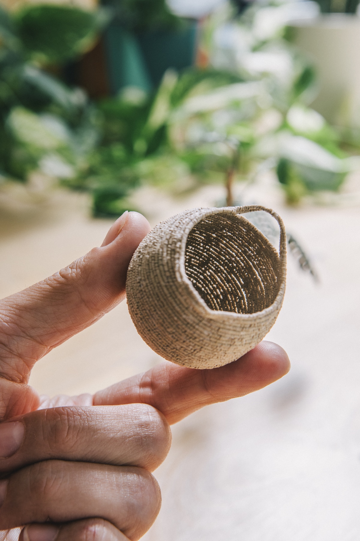 Handmade Paper Plants