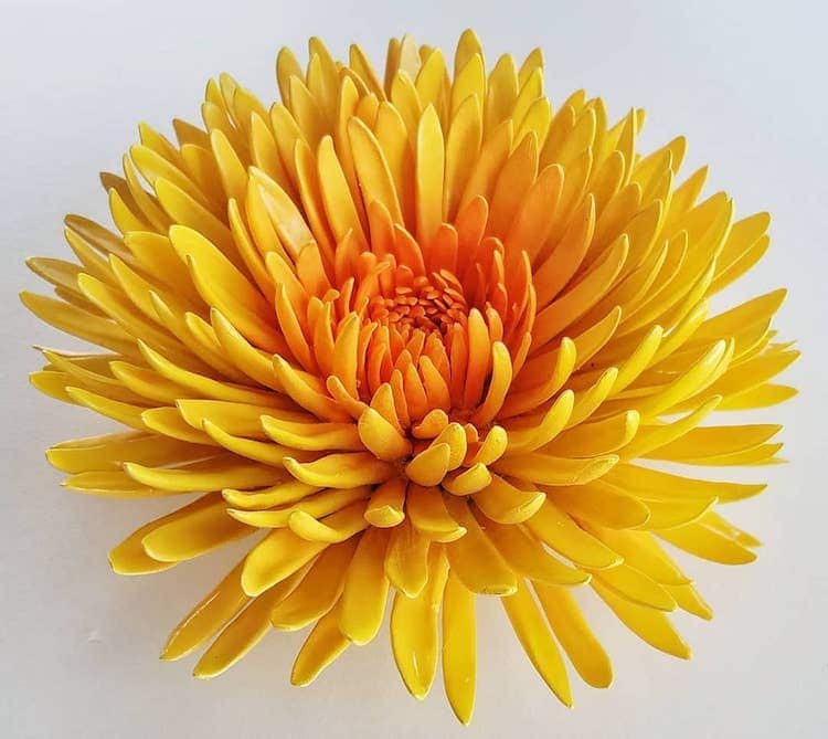 Flores de cerámica de Owen Mannn