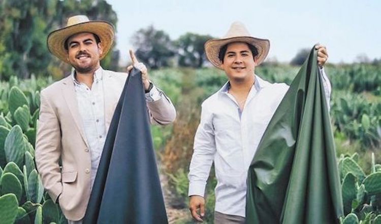 Leather Made from a Cactus is a Eco Friendly Alternative