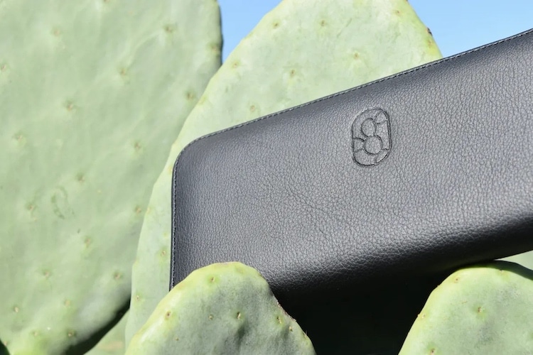 Cactus Leather: A Sustainable Vegan Solution Or A Prickly Subject?