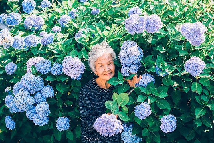 retrato de abuela japonesa por YASUTO