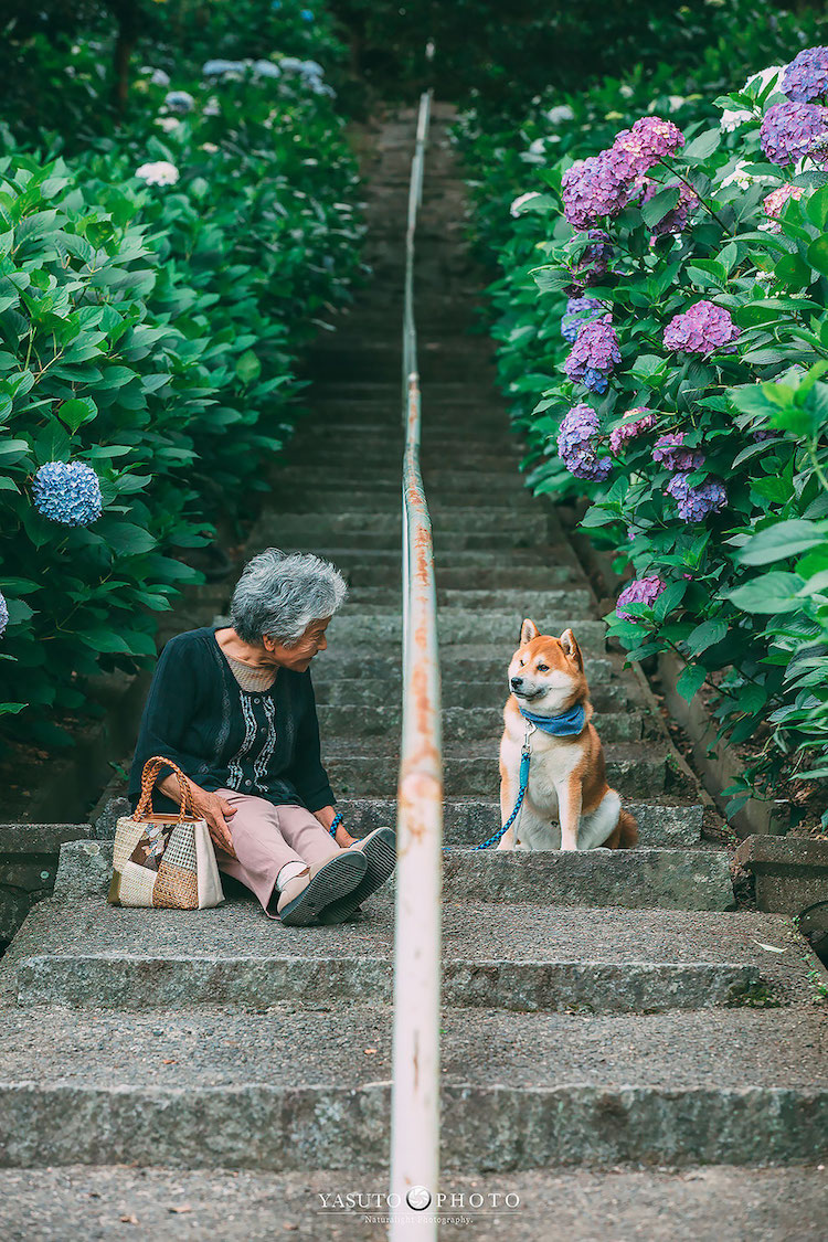 Grandmother Portraits in Japan by YASUTO